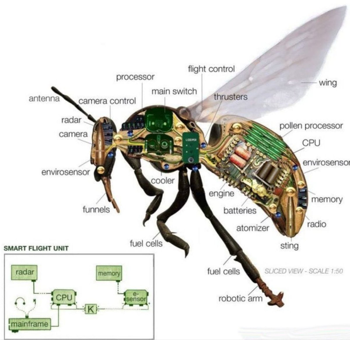 OVNIS_UFOs's tweet photo. ⚠️🚨🦟🇺🇸Se presentan #drones #espía del tamaño de un #insecto
Probablemente el aspecto más inquietante del informe, que cita las revelaciones de la #FuerzaAérea de #EEUU., es el anuncio del ejército estadounidense de que tiene “#minidrones #letales” entre su pequeño arsenal volador. Fuera del apagón mediático estadounidense, eso en sí mismo no es noticia. Ya en 2008, el ejército estadounidense había estado mostrando sus diseños #MAV #nanobiomiméticos. El propio simposio militar discutió el tema de “bichos, robots, borgs y armas biológicas”. En base a eso, es posible que la estrategia inicial del gobierno de Estados Unidos fuera utilizar los insectos mecánicos como sistema de lanzamiento de #armasbiológicas, de la misma manera que un mosquito o una pulga real es responsable de propagar las epidemias más mortíferas y devastadoras del mundo.
#We_The_People_US