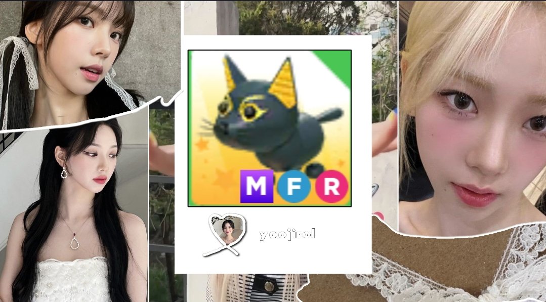 yoojirol's tweet photo. ✿   。  ׄ    ׅ    𝟶𝟶  ׄ    𓈒    :   𝟶𝟶  ꞌꞋ   ۪    ׄ    ﹏
. . . Mega abyssinian cat giveaway !

﹙★﹚ 1. Follow me w notifs on 
                2. Like and rt w tags.    ౨ৎ

🐇    ┈   ⟡     extras : tag a friend https://t.co/xMZKfyVNDv