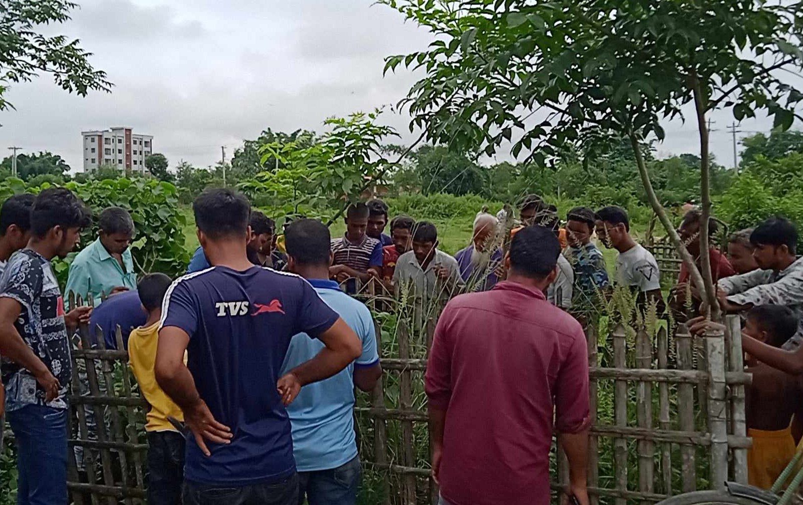 ঠাকুরগাঁওয়ে এক কবর স্থান থেকে ৯ কঙ্কাল চুরি, এলাকায় চাঞ্চল্য