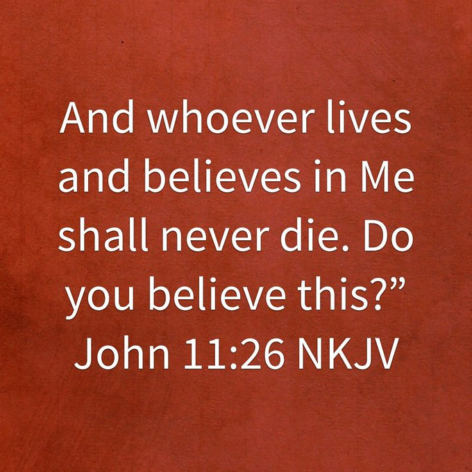 And whoever lives and believes in Me shall never die. Do you believe this?  @richnchrist57 @drelnora @groupehaus @a_j_christ @christiannewsle @mollyrhodes15 @goodshepherd316 @peterolsenart @dianne__ladyd @angelipv @chevarchevar @edmontonthe @netbda51