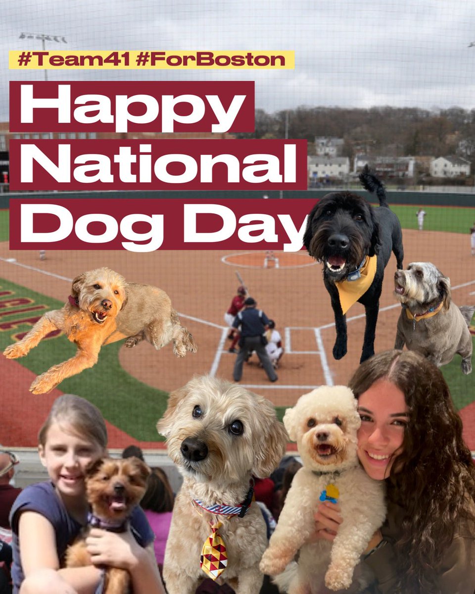 BC Softball 🥎 tweet media