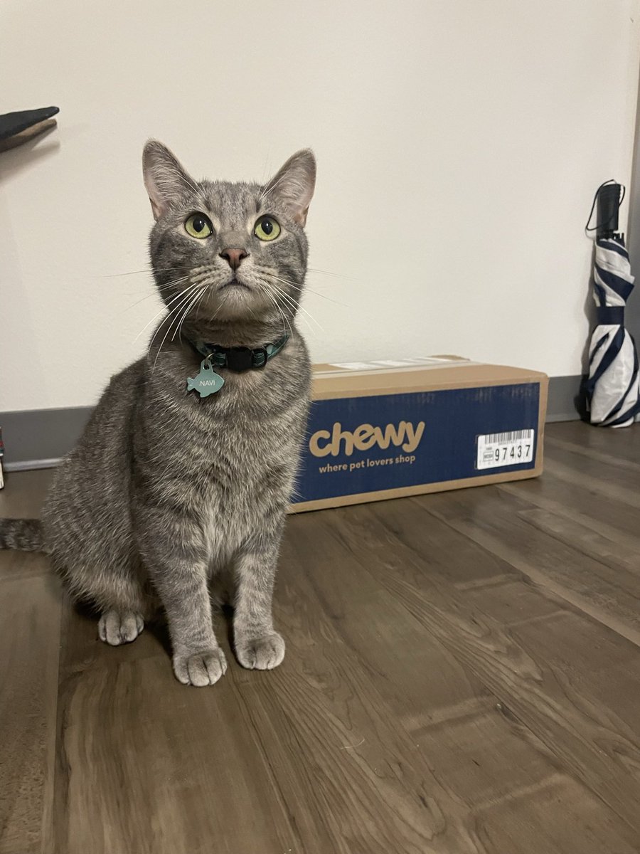 mother pweez tell me what’s in de box