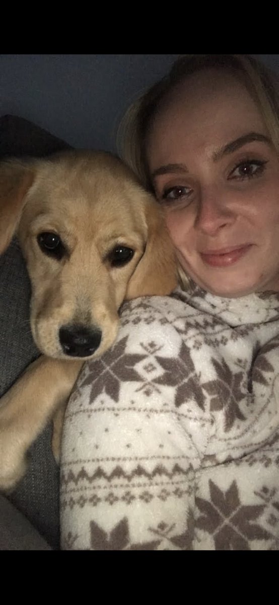 The joy this lady has brought into my life is Indescribable, she may not be the most clever girl there ever was but she’s by far the cutest! 🥰😍😘 I love you Mia ♥️
#InternationalDogDay