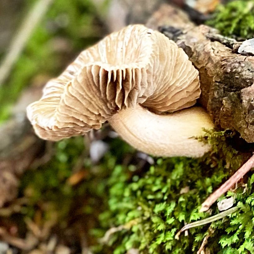 De herfst komt er voorzichtig aan;) 💛