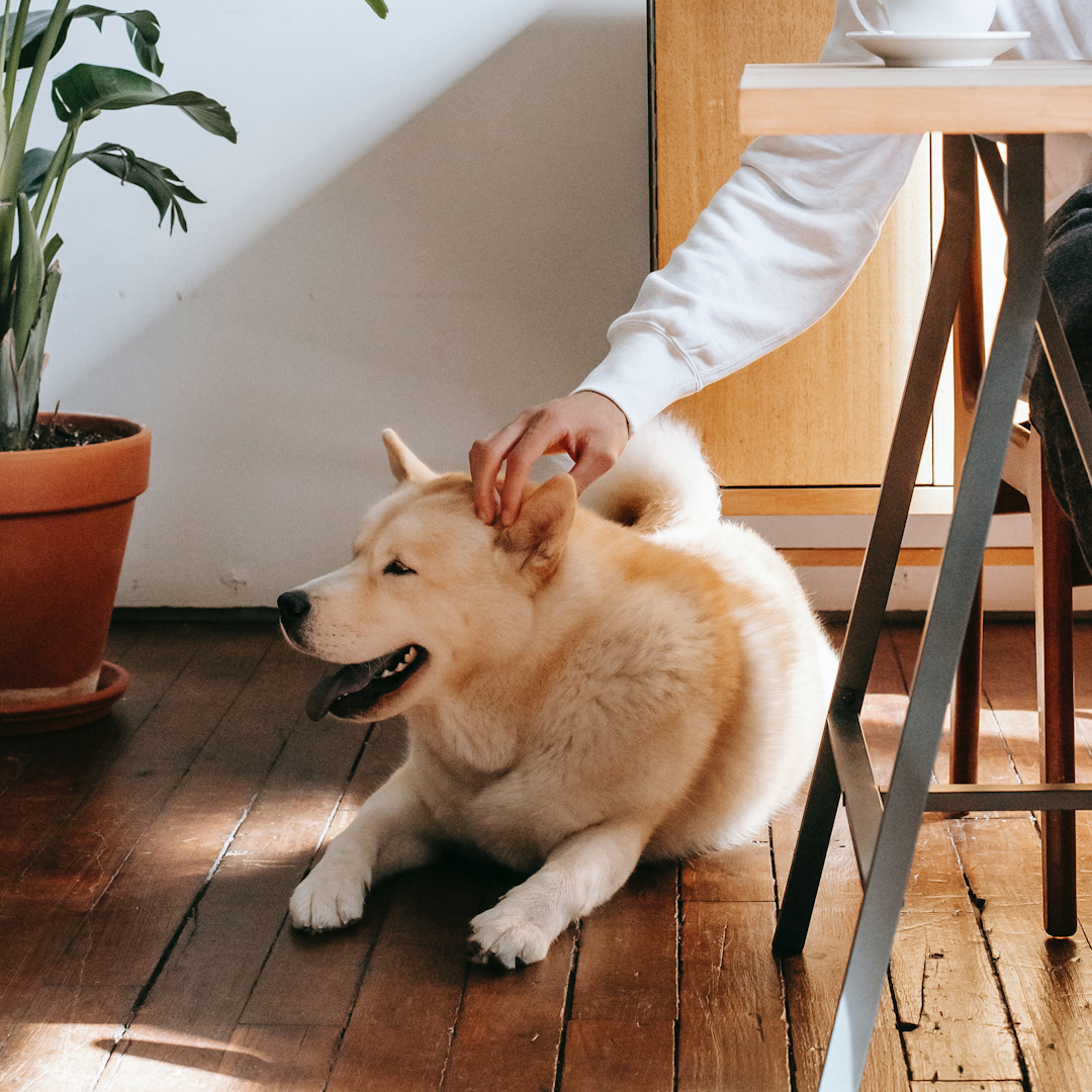 THRIVE | Coworking tweet media