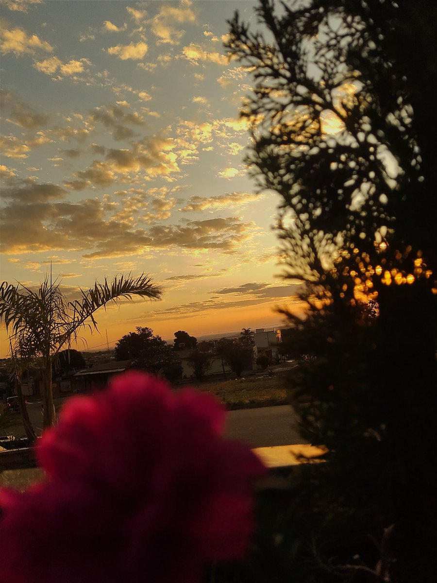 CamposIr7's tweet photo. "A singeleza ainda é o ramo mais plausível da vida humana, alinhada a sabedoria formam o par ideal para se alcançar o sucesso." https://t.co/bZ1ubrrsyu