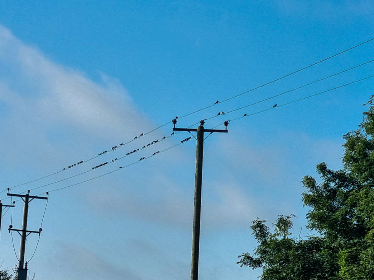 Christopher stone tweet media