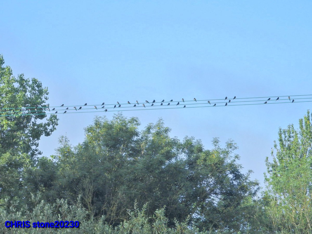 Christopher stone tweet media