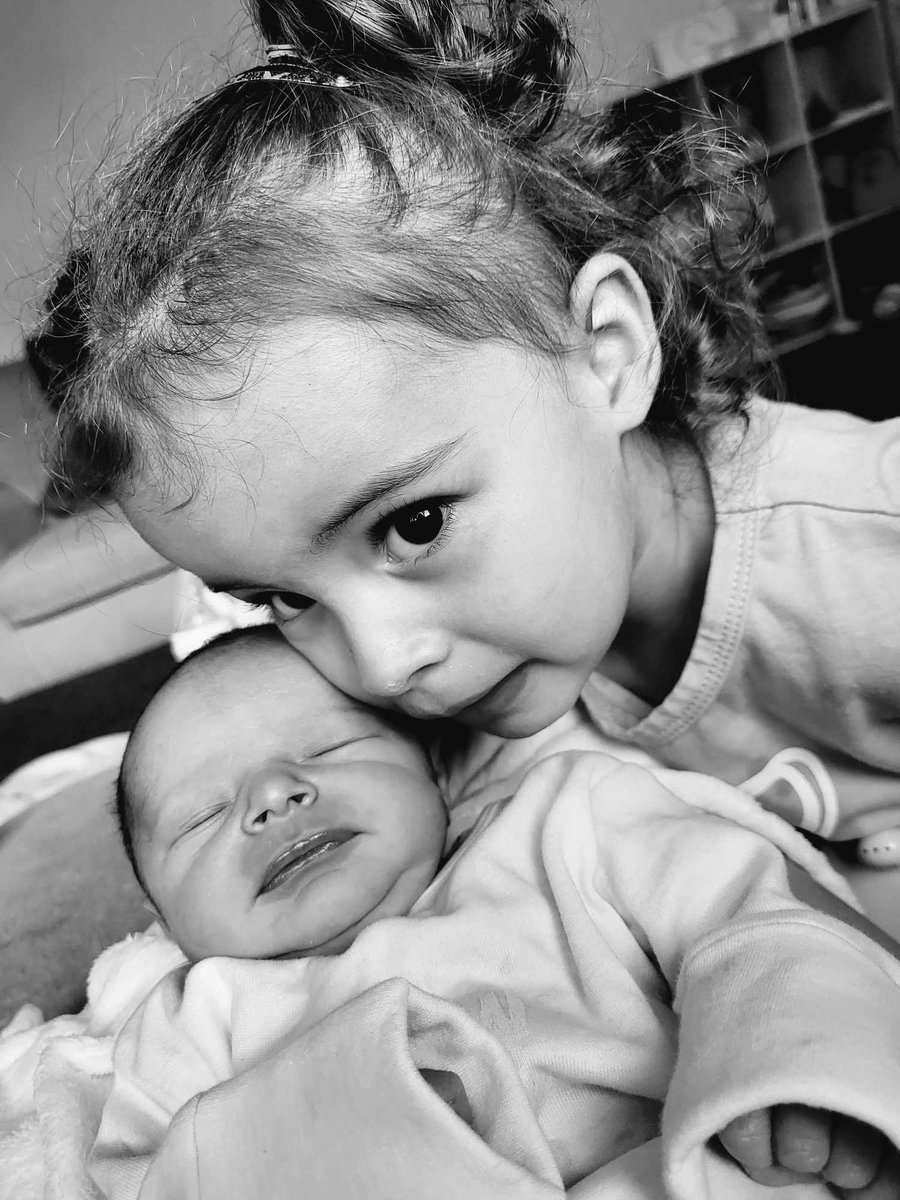 julie clayton tweet media