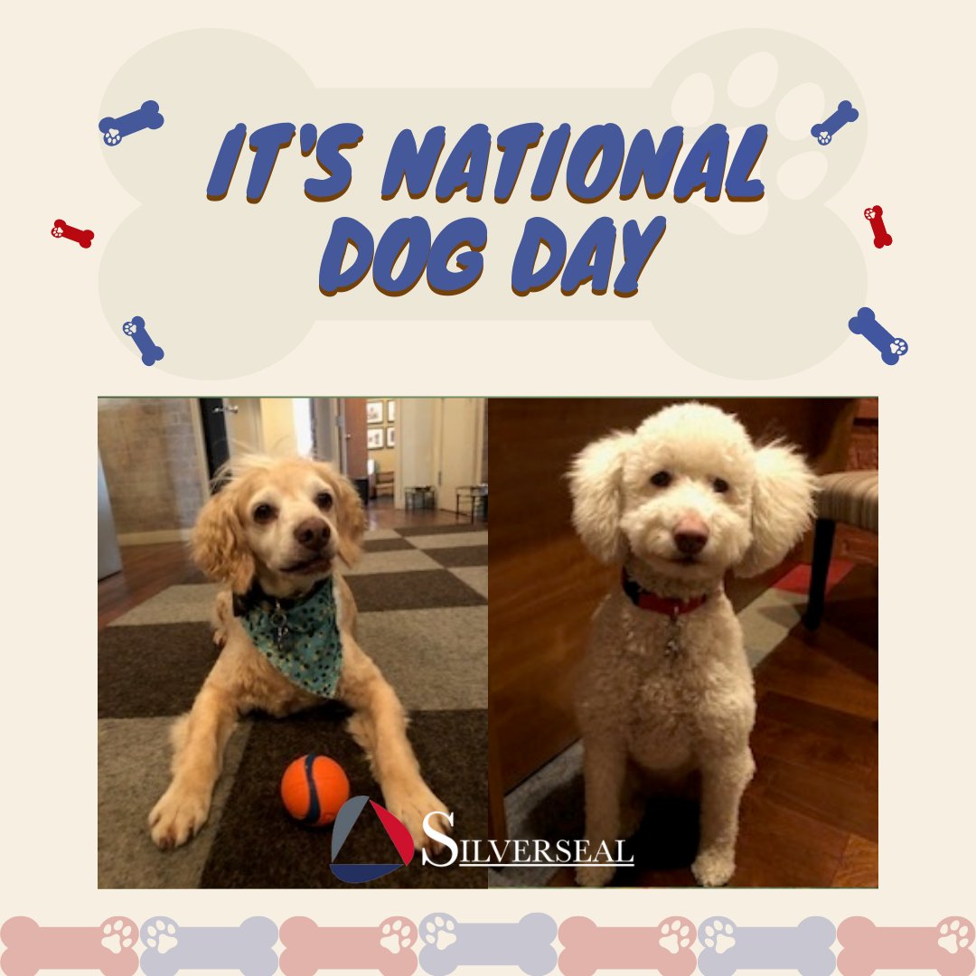 Happy National Dog Day! It's time to show off the furry co-workers.  #nationaldogday

#Silverseal #Security #PrivateInvestigations #CorporateSecurity #Investigations #Surveillance #DueDiligence #RiskAssessments #SecurityConsulting #ExecutiveProtection #PrivateInvestigator