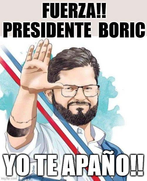 Mónica 🌳❤️ 🇨🇱 tweet media