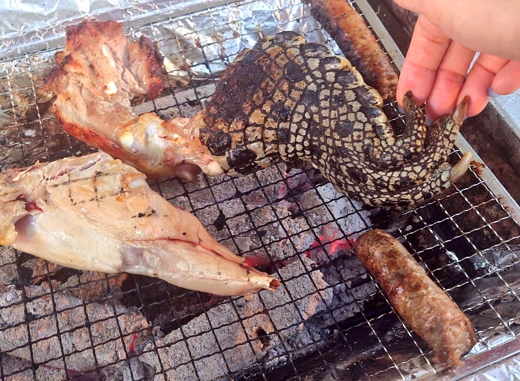 akito0128's tweet photo. 鰐と兎と鹿のお肉を食べるBBQ https://t.co/8vzlIUgOFu