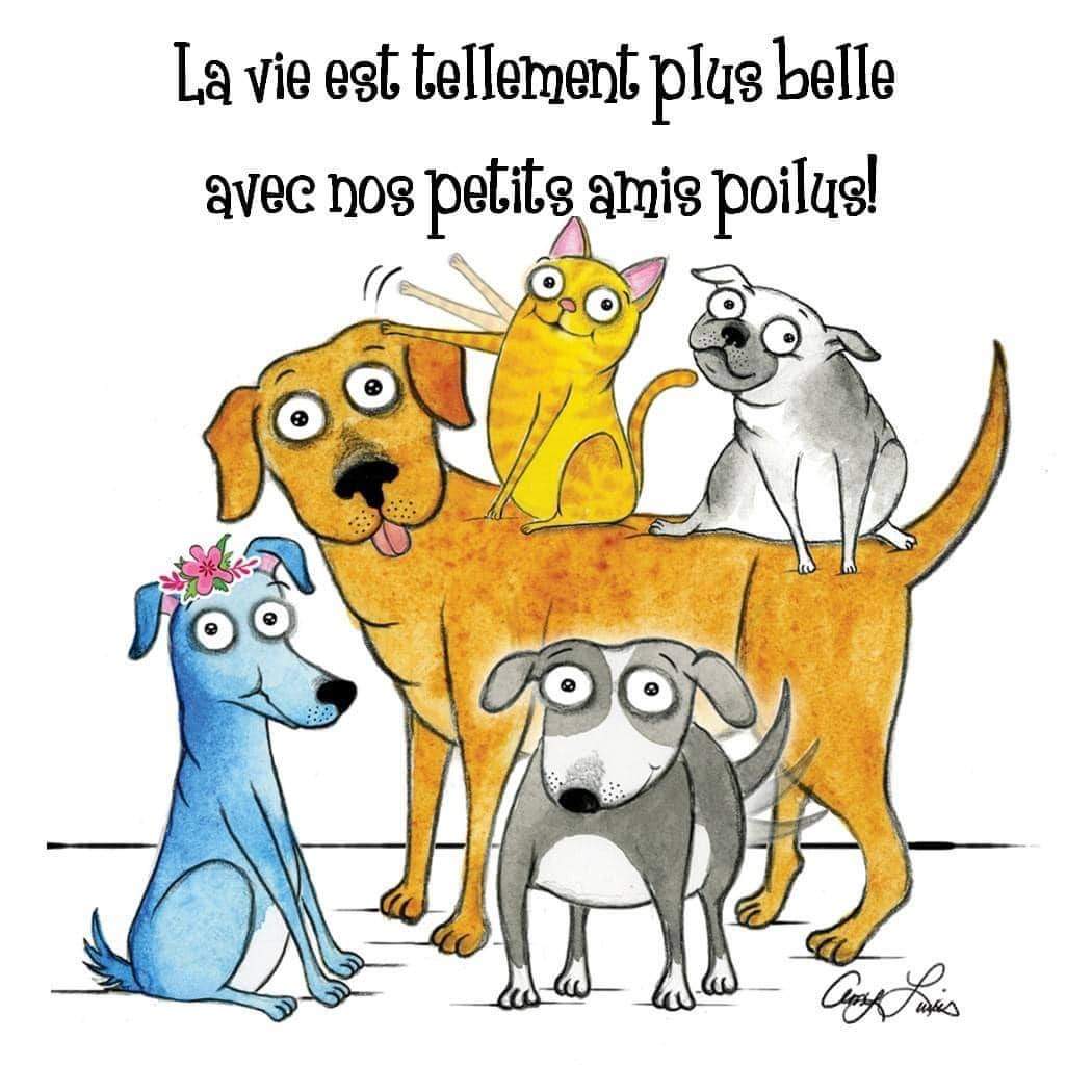 La vie est tellement plus belle qvec nos petits amis poilus ❤🌸