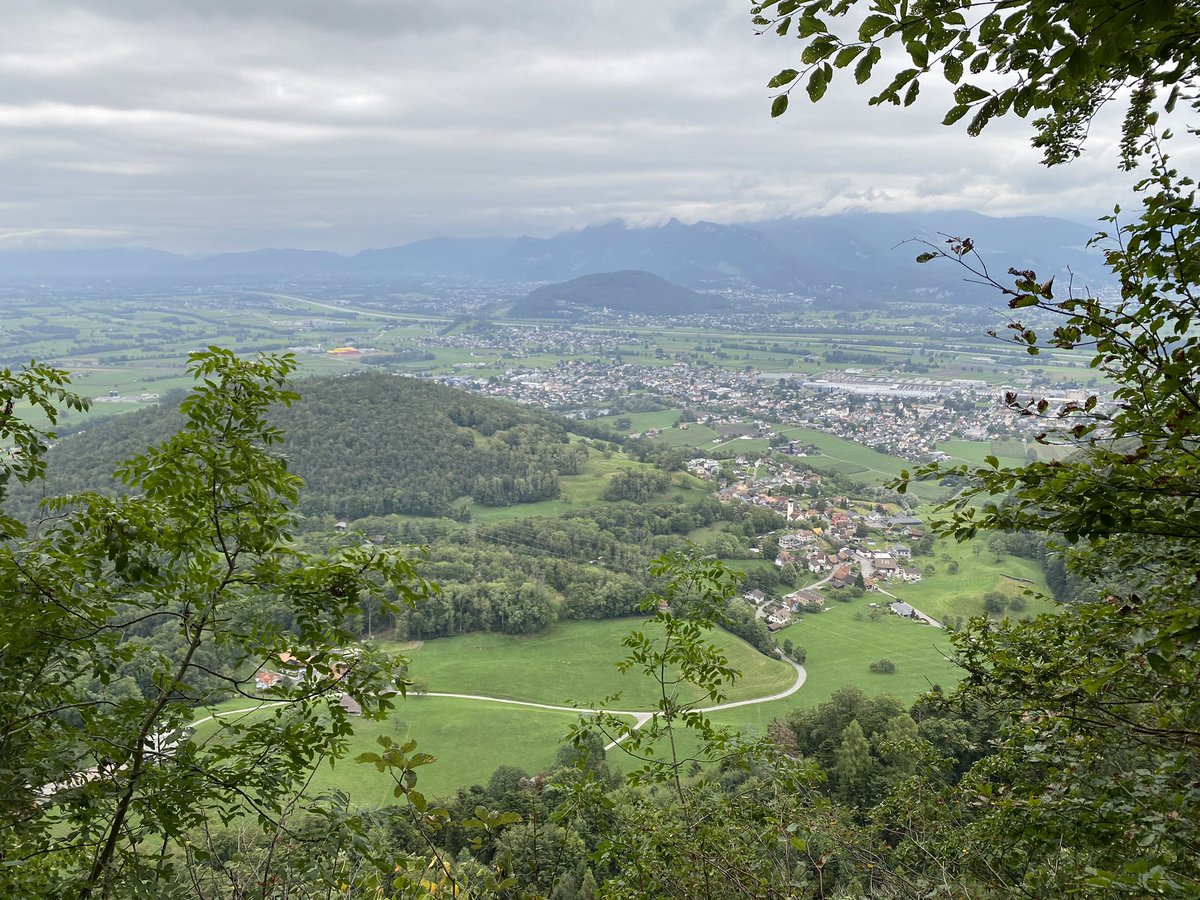 sandro_w_hess's tweet photo. Kurze Runde heute vor dem #Regen…👣☔️ #Strüssler #Freienbach #Rheintal https://t.co/1yqyaTMOQN
