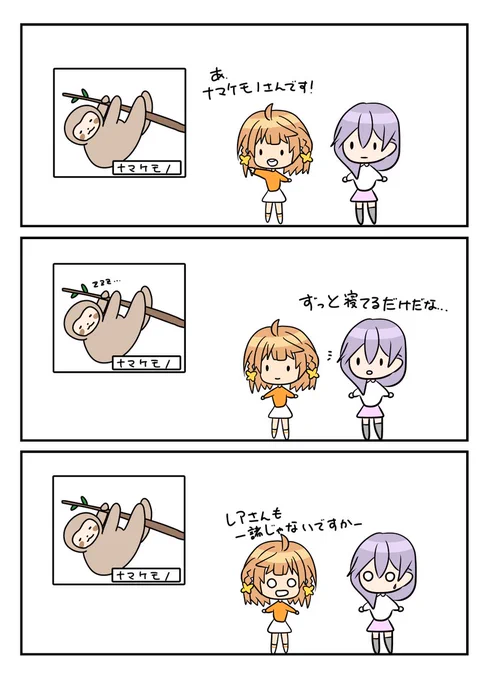レアさん(ナマケモノ) 