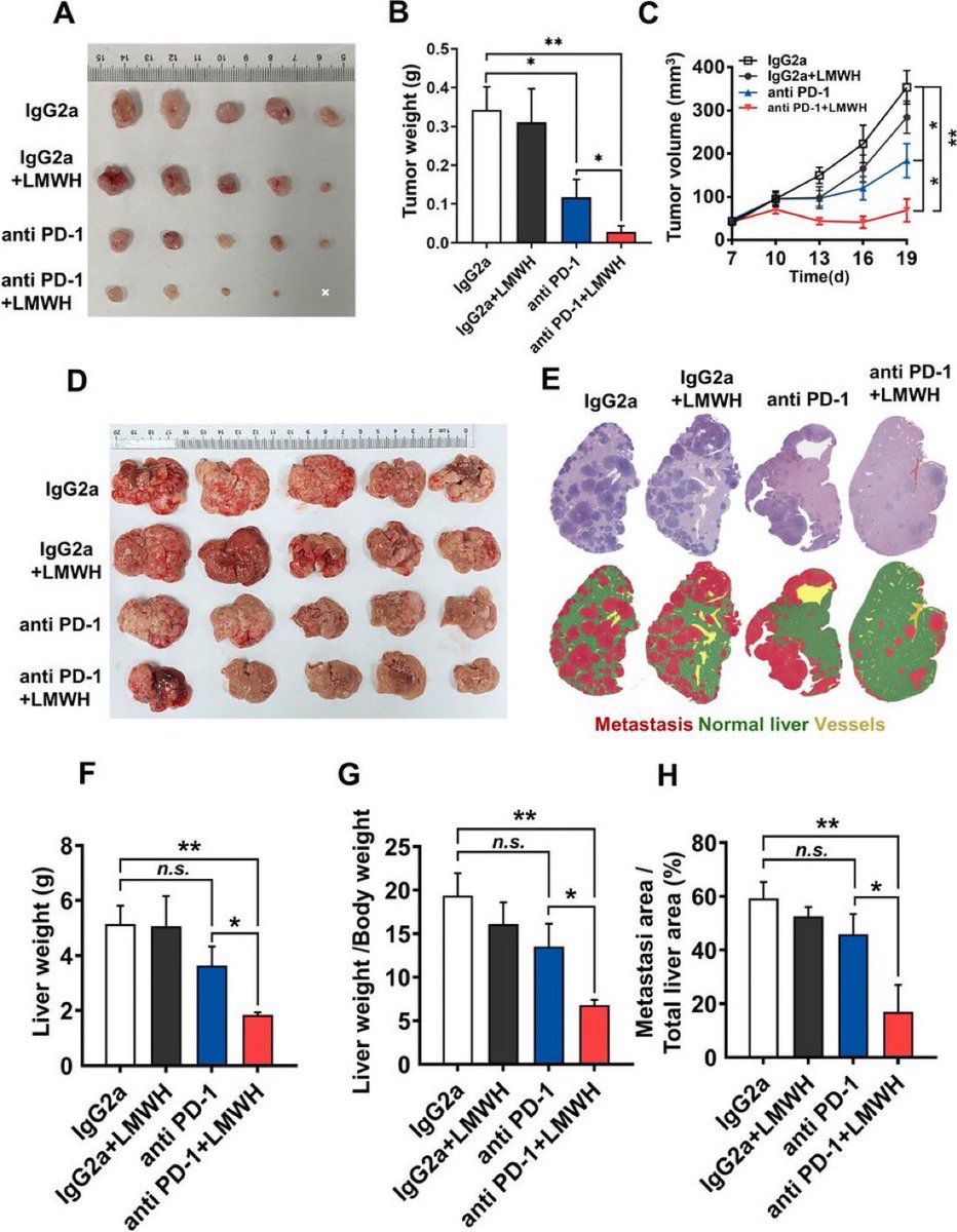 Dr. Patrick Hwu tweet media