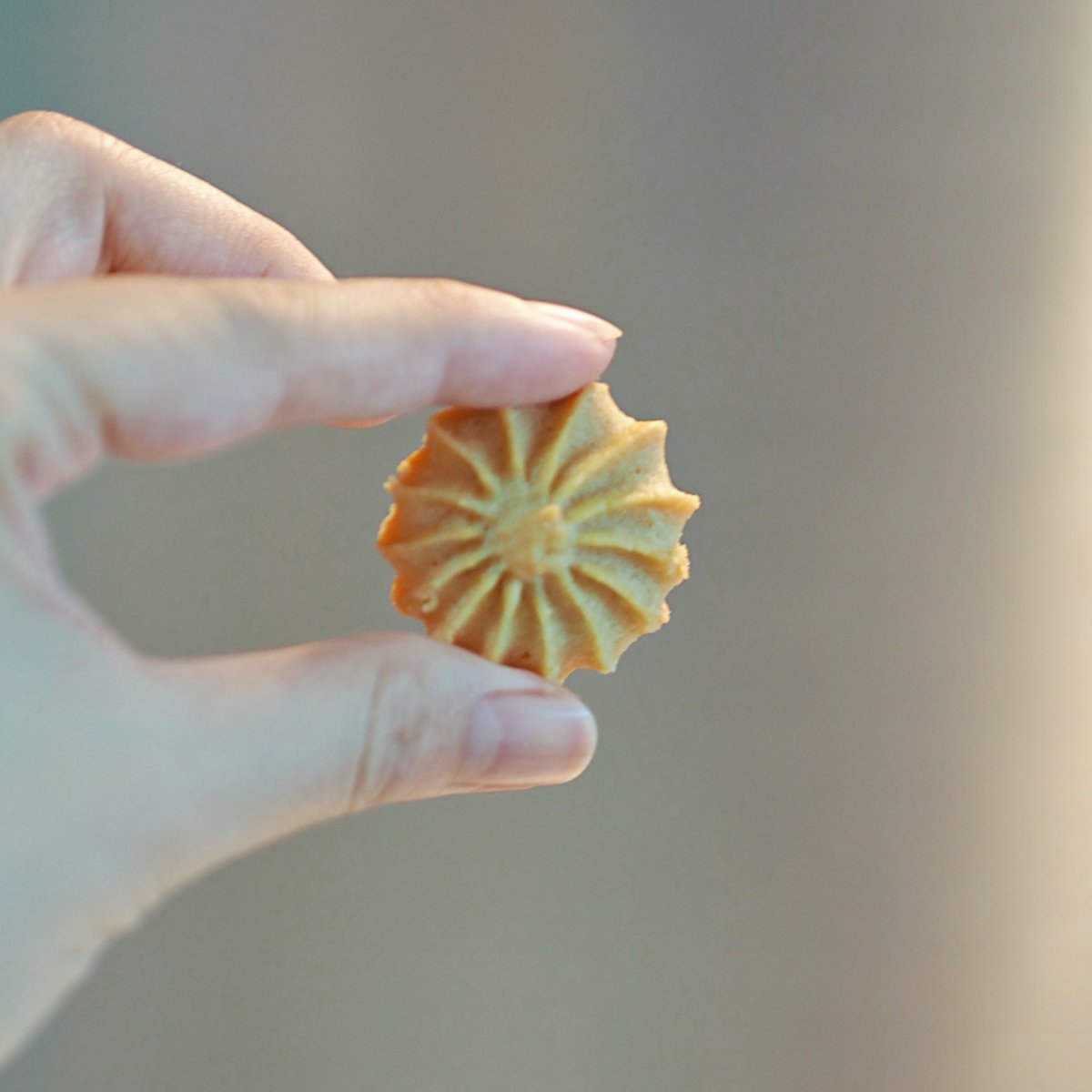 ilerbkitchen's tweet photo. Peanut Butter Cookies 
ขอบคุณสูตรจาก Tiktok ช่องคุณ Paweenee’s Nuts Butter ทำไมมันอร่อยอย่างงี้ ฮือๆๆๆ หวานๆ เค็มๆ มันๆ ชิ้นจิ๋วๆ กินง่าย เผลอแปปเดียวกินไปสิบชิ้นละ 🥜🥜🥜🥜🤤 1 สูตรได้เยอะพอสมควรเลยค่ะ อบไฟบนล่างเปิดพัดลม 160c 10 นาทีค่ะ แจกได้ทั้งเครือญาติ 😂 https://t.co/flXoFLoYR6