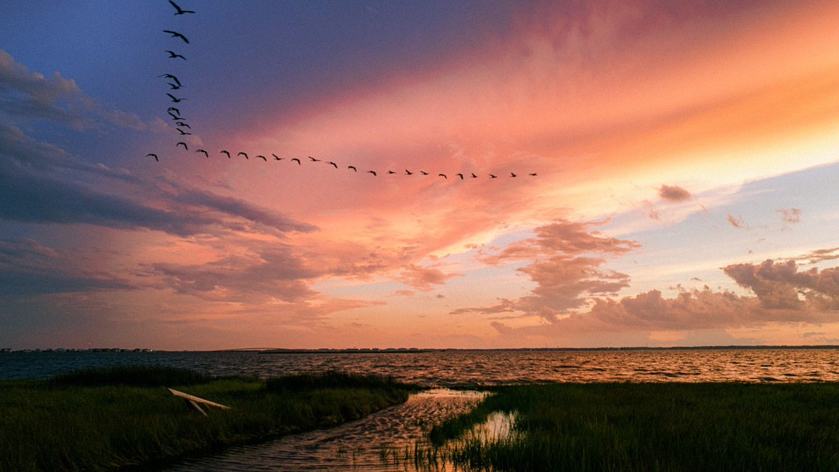 nev_in_color's tweet photo. Summer in the Outer Banks https://t.co/26t23hNkwq