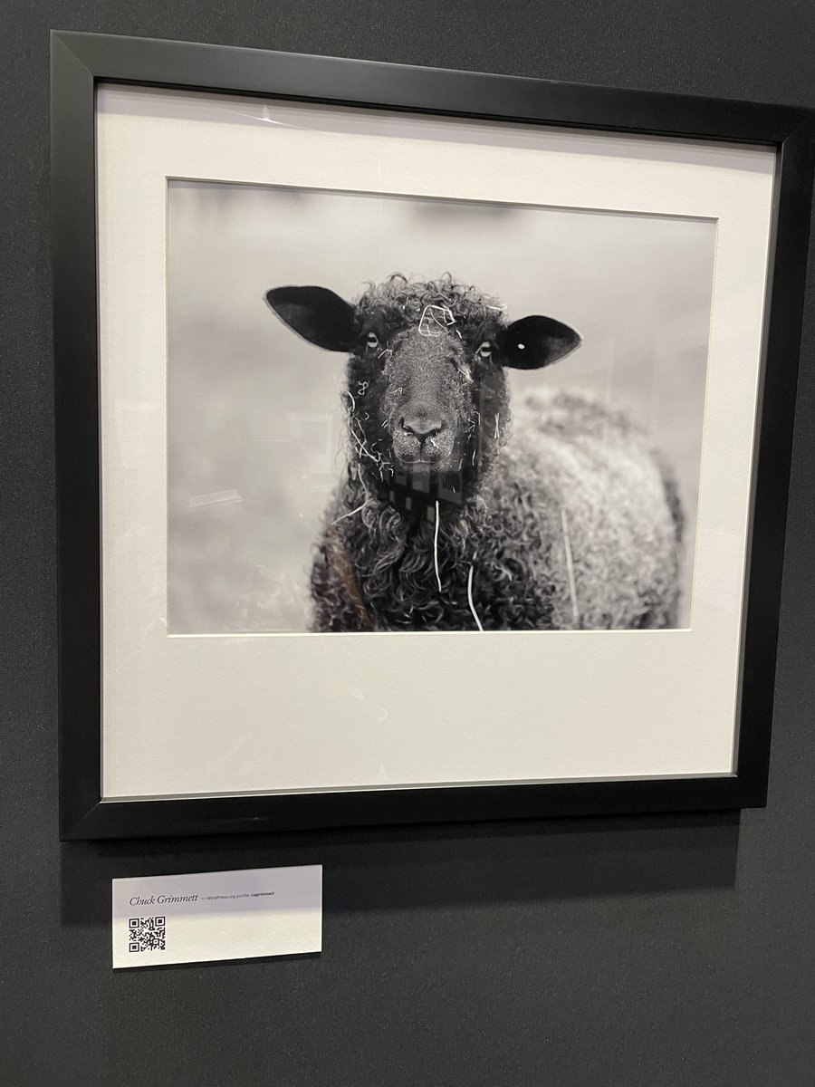 femkreations's tweet image. Checked out the art display at #WCUS. Here’s my favourite pick by Chuck Grimmet #OpenSourceArt #WCUS