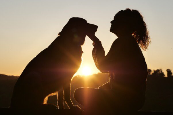 ExtraMileTour's tweet photo. On #internationaldogday  let’s celebrate the most loyal travel partners! 🐶🐶🐶

#extramiletours #travel #landscapephotography https://t.co/NaaHHEFSh7