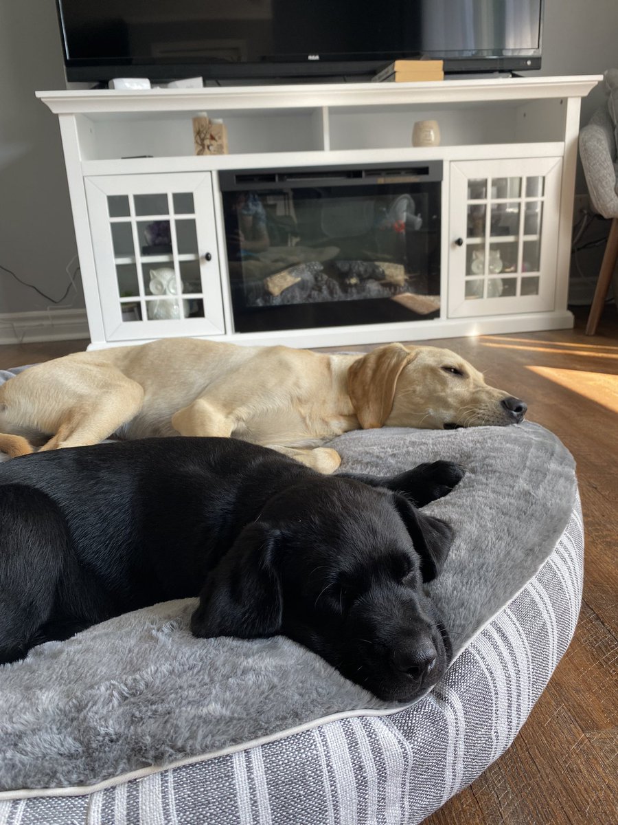 Jasper_ow tweet media