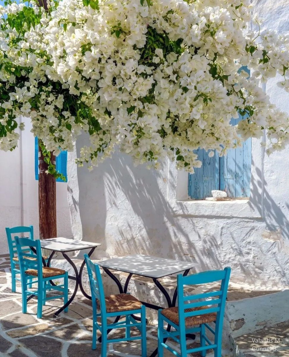 We all should value our coexistence,  and project our hearts for the dignity that offer values, and show love for the purpose of the essence of life that binds us together; and also for the principles of life that have the potential to accelerate our common value.
Happy Weekend!