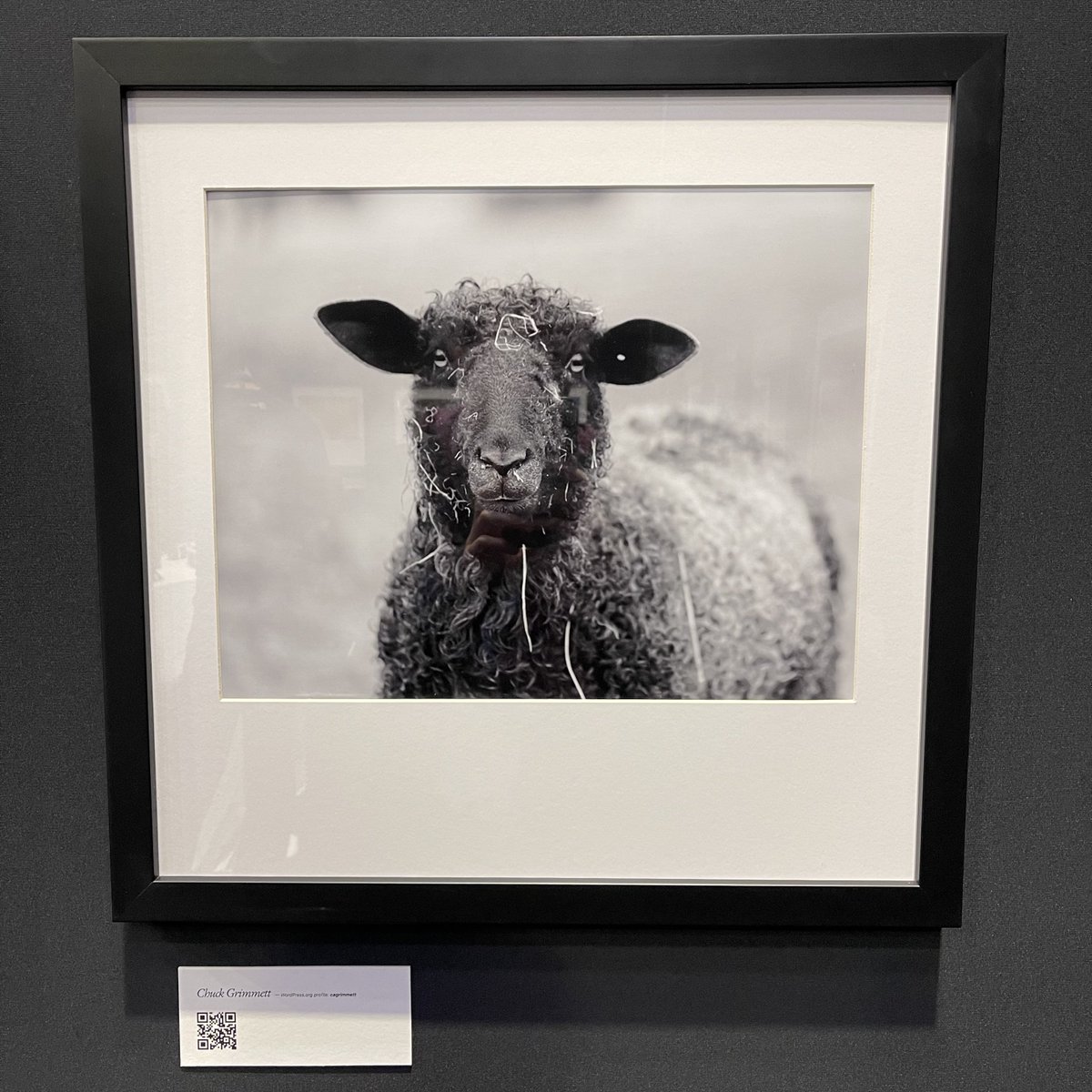 jessicalyschik's tweet image. Found the art gallery in the #WCUS sponsors area and if I have to pick only one favourite, this sheep is it! #OpenSourceArt