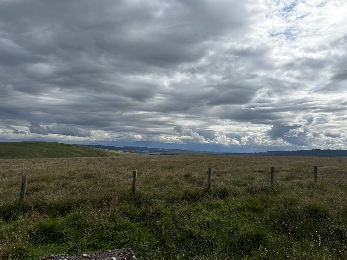 🌱 ElaineMcDonald3 tweet media