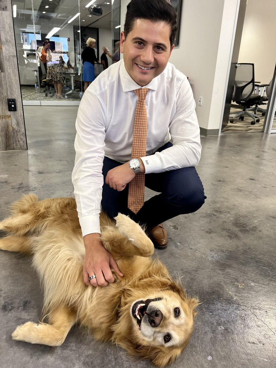 CAGOP's tweet photo. Happy National Dog Day from CAGOP’s in-house mascot, cheese eating monster, and goodest girl, #SammyWatkins 🐾 https://t.co/9e3whbr2lQ