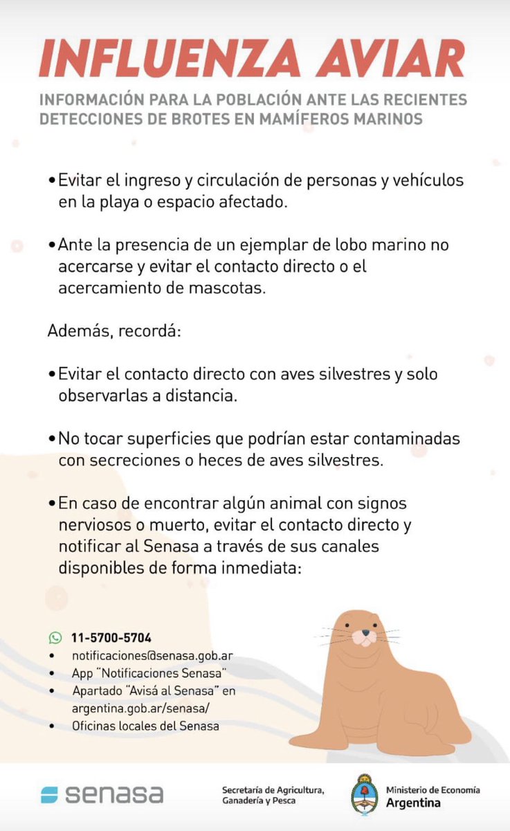 rocioloi's tweet photo. Alerta gripe aviar en mamíferos marinos!! 
#influenza #mamiferosmarinos https://t.co/5ItnjmRCCq