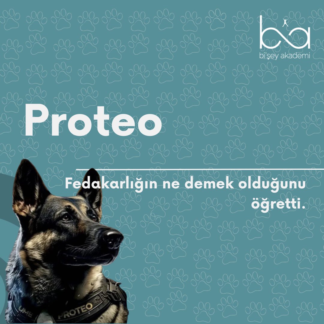 BiseyAkademi's tweet photo. ❤️🩹🦮
#bişeyakademi #dünyaköpekgünü #köpekler #scoobydoo #pavlovunköpeği #hachiko #porteo #patilidostlar https://t.co/vlDIaaphZk