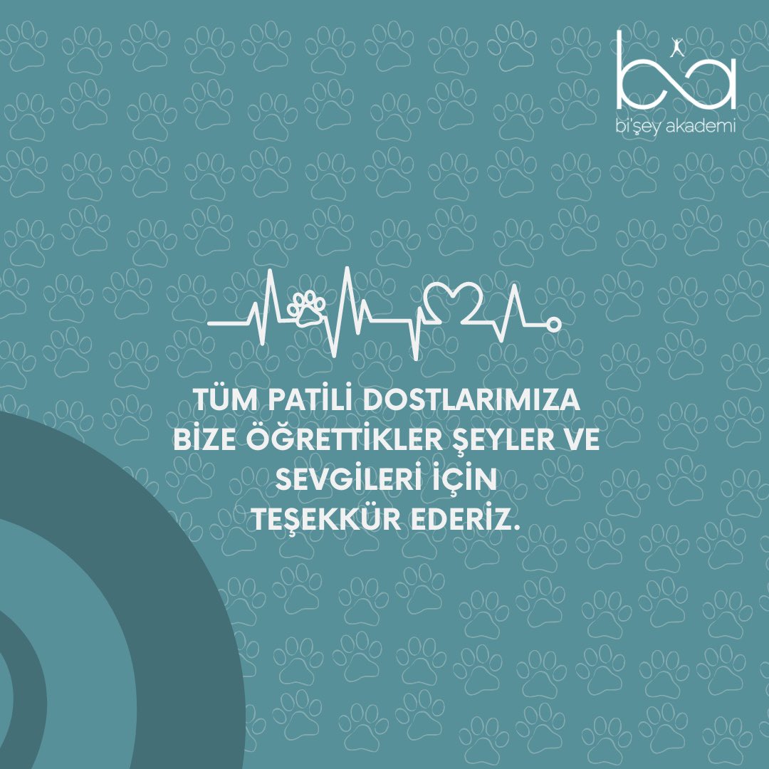 BiseyAkademi's tweet photo. ❤️🩹🦮
#bişeyakademi #dünyaköpekgünü #köpekler #scoobydoo #pavlovunköpeği #hachiko #porteo #patilidostlar https://t.co/vlDIaaphZk