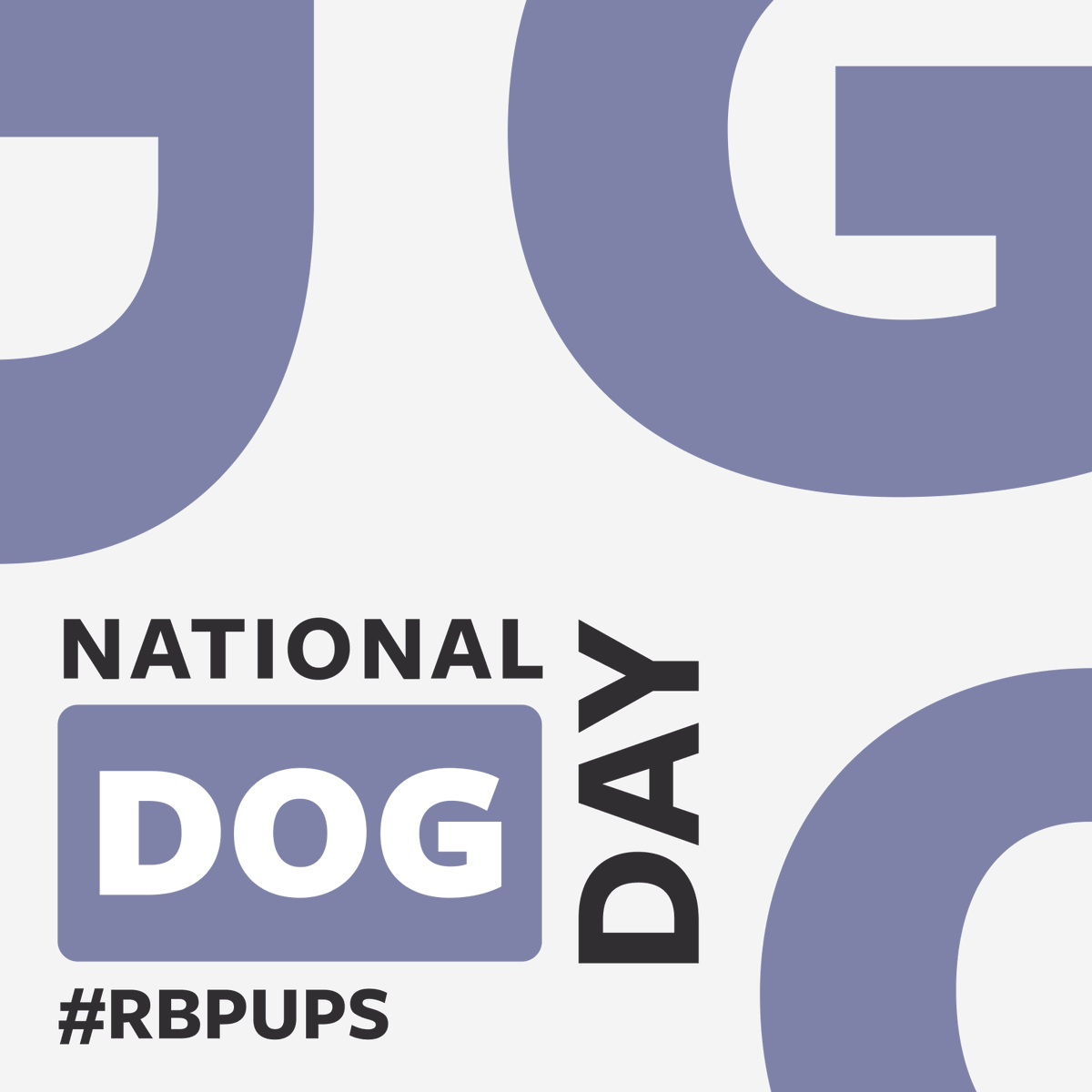 Happy National Dog Day! 🐾🎉 The Flock is celebrating our furry friends and reminiscing about all the amazing moments we've shared with the RB Pups. Let's continue to cherish our loyal companions and make every day a dog day! ❤️🐶 #NationalDogDay #DogDay #RBPups
