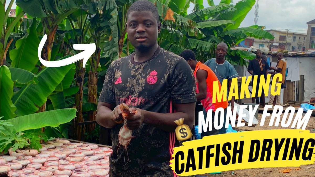 Do you know how much the smoking fish guys makes

Watch New video with Adbul on how much they make and how they process their catfish
Turning Fresh Catfish into Cash: The Success Story of Fish Processor Abdul #catfishfarm
youtu.be/cM30Ca_WSiI

@fisherwomanhub 
@catfishpreneur