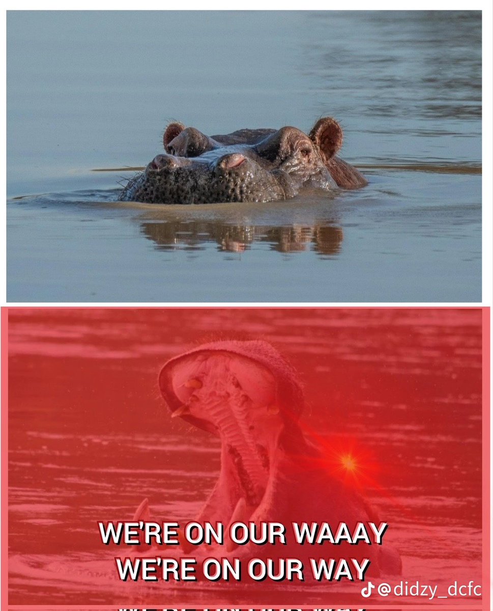 dcfcjack (@dcfcjackk) on Twitter photo 