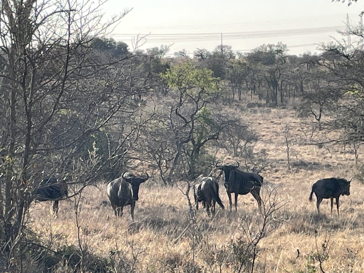 Chris Underwood tweet media