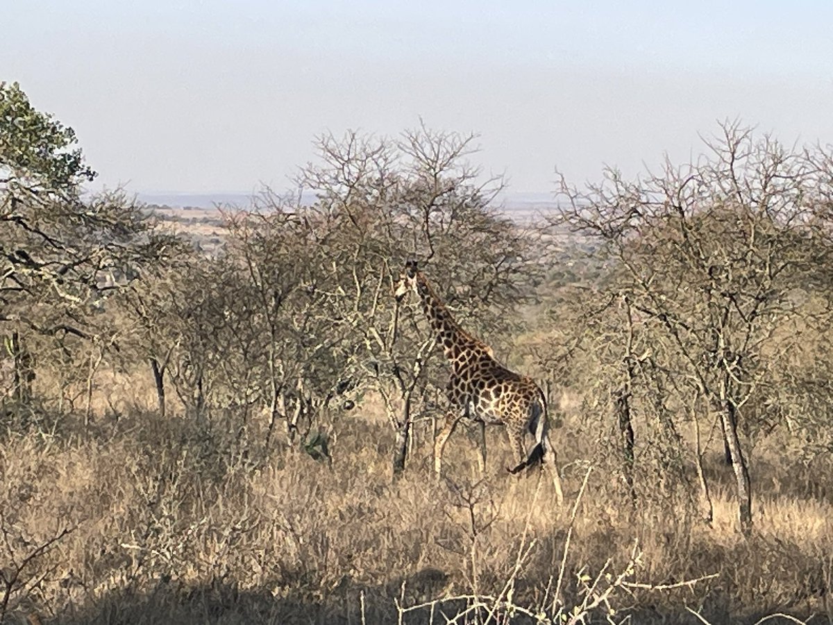 Chris Underwood tweet media