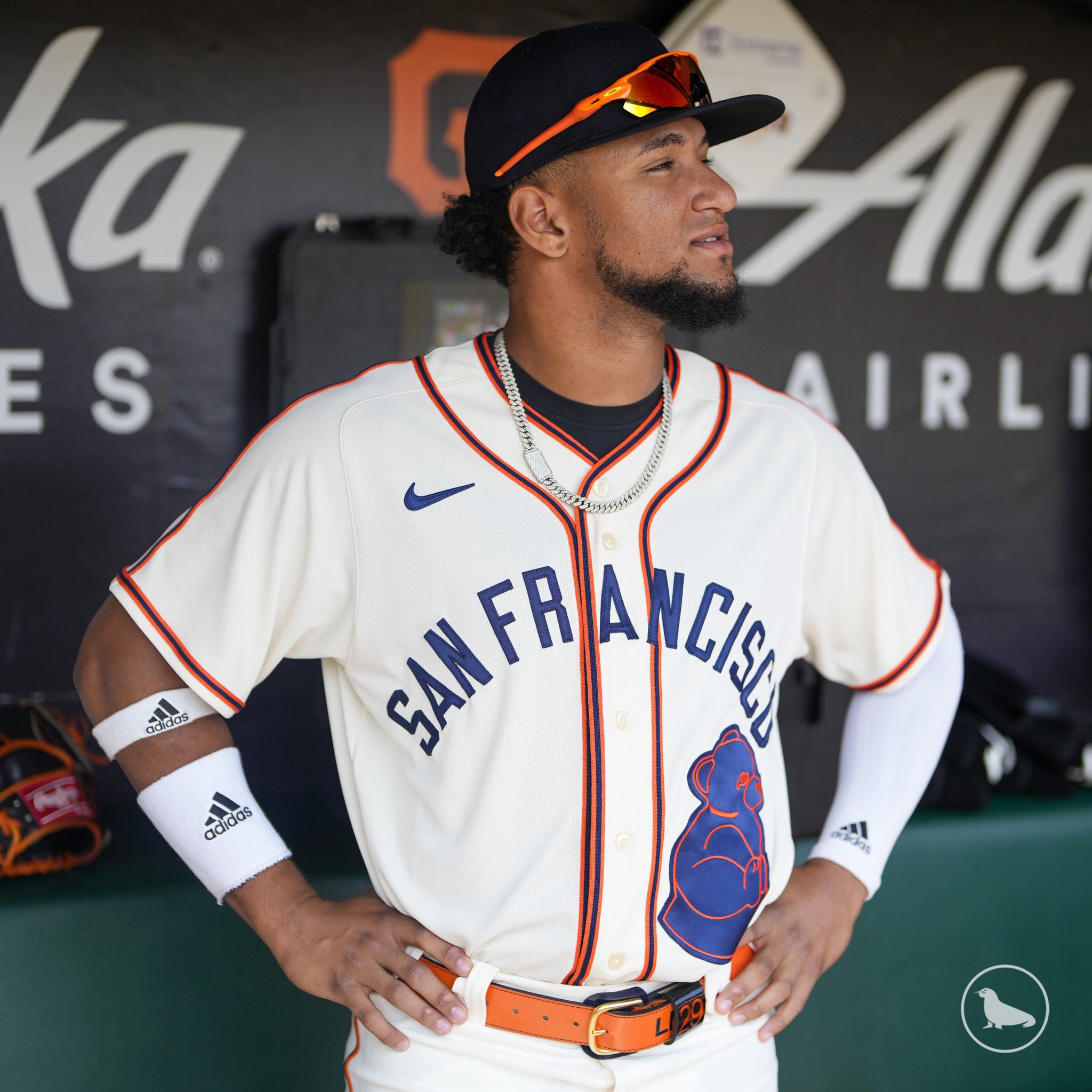 SFGiants on X: This year marks the 75th anniversary of the San Francisco Sea  Lions and the West Coast Negro Baseball Association. In celebration of this  anniversary, we will don these replica