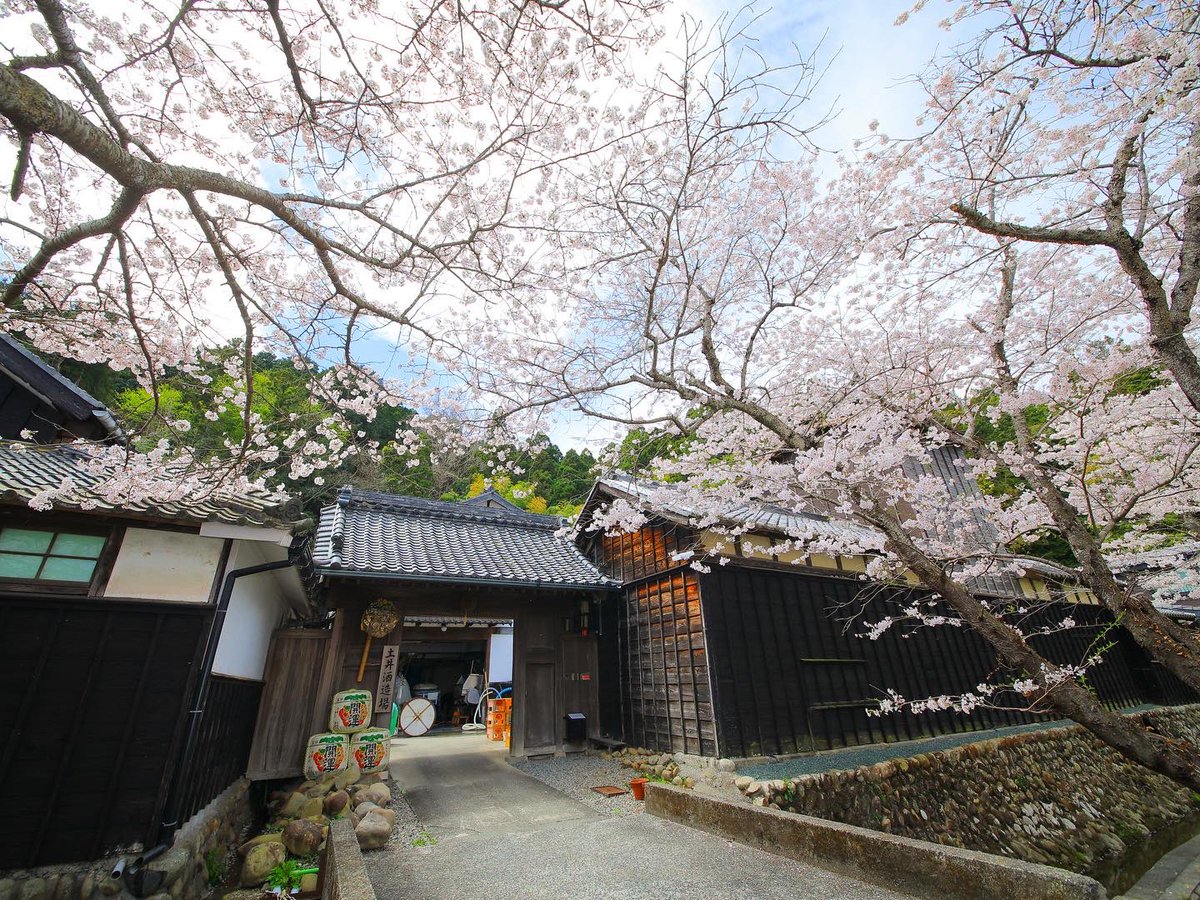 SakeToday's tweet photo. More angles of the beautiful brewery of Doi Shuzo, makers of Kaiun and Takatenjin sake in Shizuoka. We featured Doi Shuzo in Sake Today 33. https://t.co/0DzZeywWsB https://t.co/Y2CB54FUbH