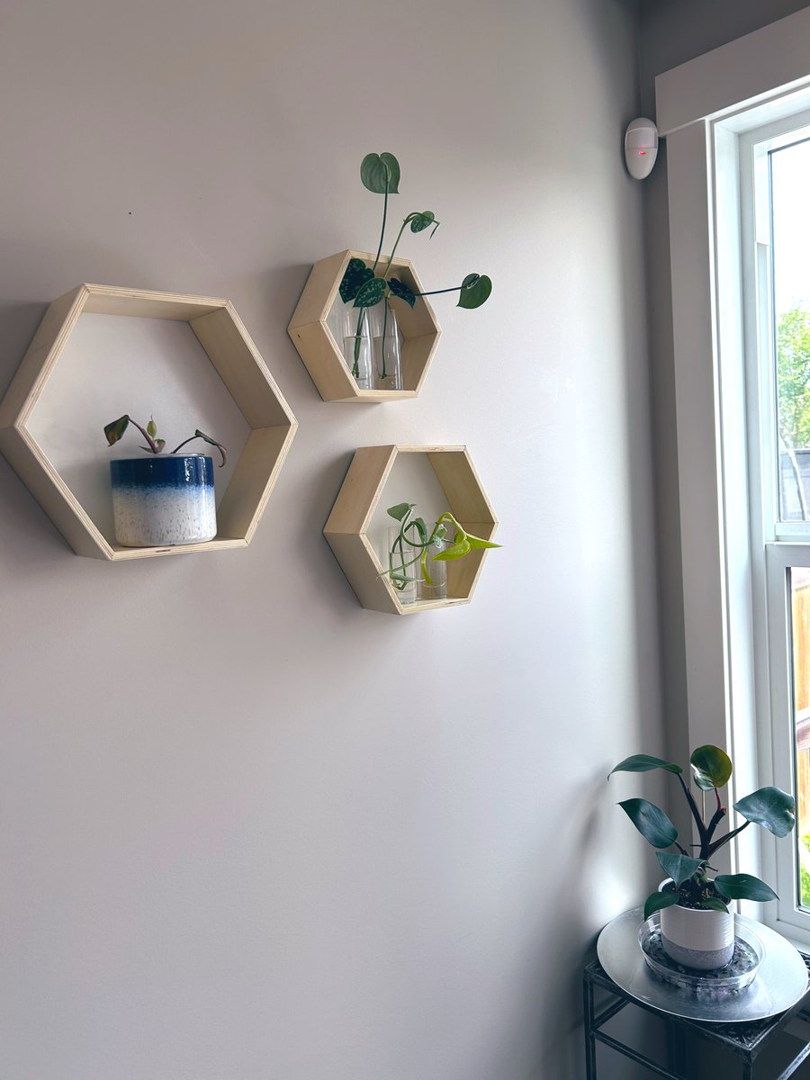 Made a little plant corner in my dining nook for my #plantbabies #pinkprincessphilo #whiteknightphilo 

Can’t help but notice there’s room for expansion 😏