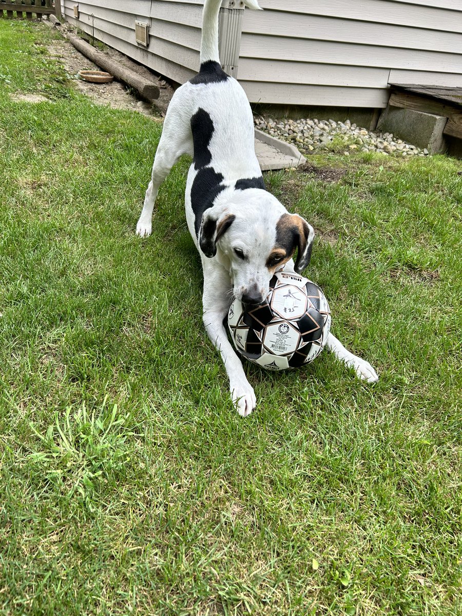 kmeyer1273's tweet photo. @IndyEleven Ready for game day! https://t.co/HpJFYVuBQE