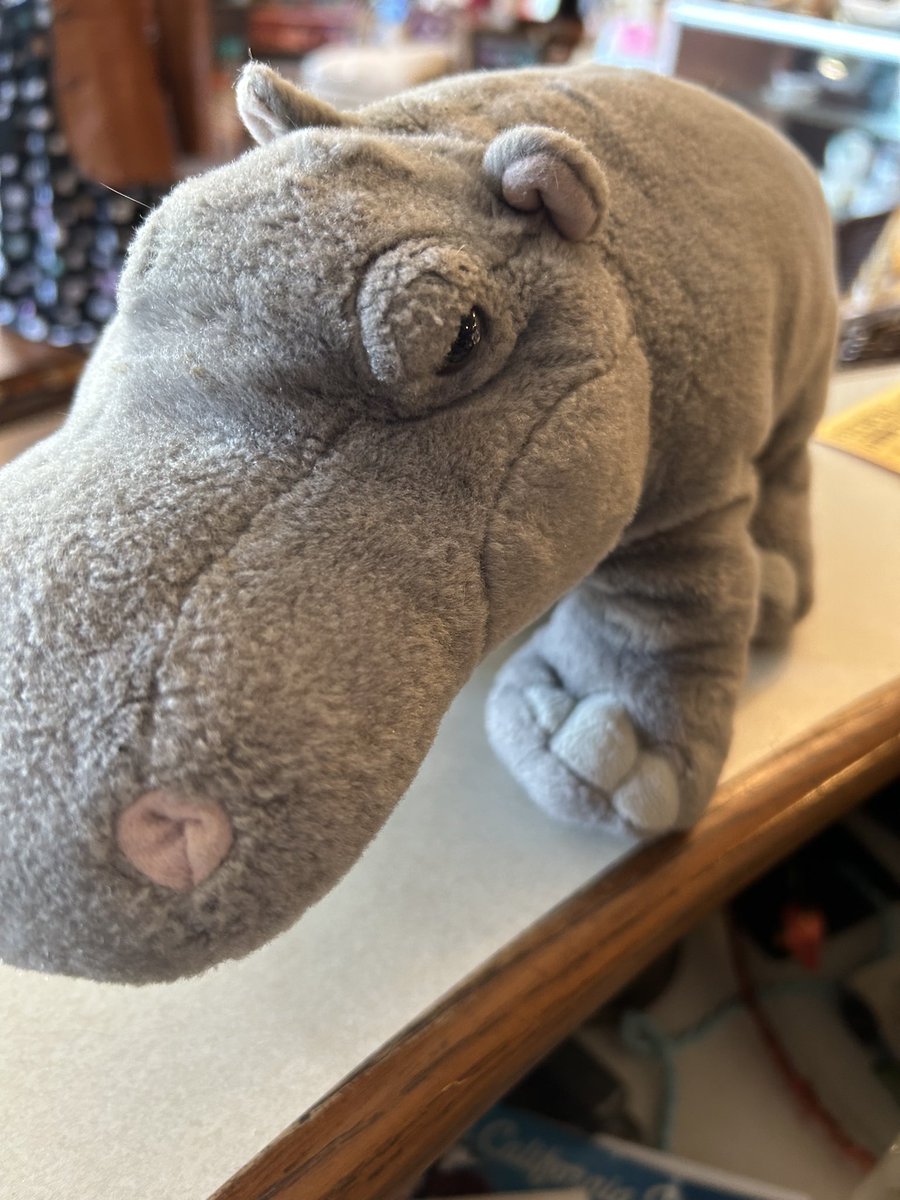 brianslimnash's tweet image. LOOKING FOR THE HIPPO OWNER!

I found this adorable Hippo on Jim Burrell Lane in Smiths Grove - just as you leave the Shell/IGA back exit (see red star in photo). I feel confident that someone is looking for this Hippo - it looks well cared for and loved.
