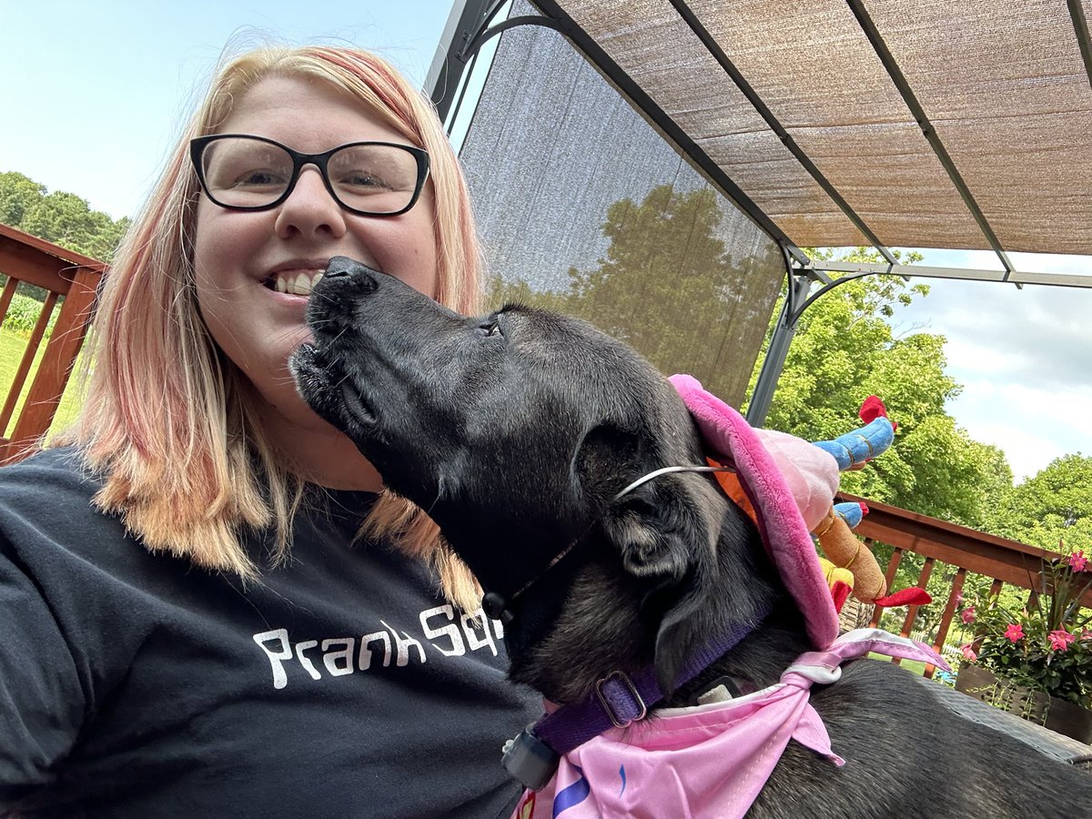 itsechomusic_'s tweet photo. Happy #nationaldogday to the greatest dog anyone could ask for, my little Rottsky girl Ember! I’m so lucky to have you in my life 💕🫶 #rottsky #rottweiler #husky #AdoptDontShop https://t.co/BFKdcdNQZG
