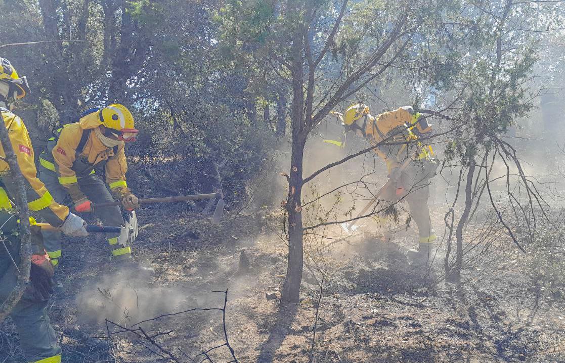 112cmadrid's tweet photo. Previamente al #IFMirafloresDeLaSierra, 15 dotaciones de #BomberosCM y #BrigadasForestalesCM, con 4 recursos aéreos, han colaborado con medios de @naturalezacyl y @mitecogob, en la extinción del #IFSantaMariaDelTietar.
Han trabajado también en el punto los #AgentesForestalesCM. https://t.co/oQOyQwnHLq