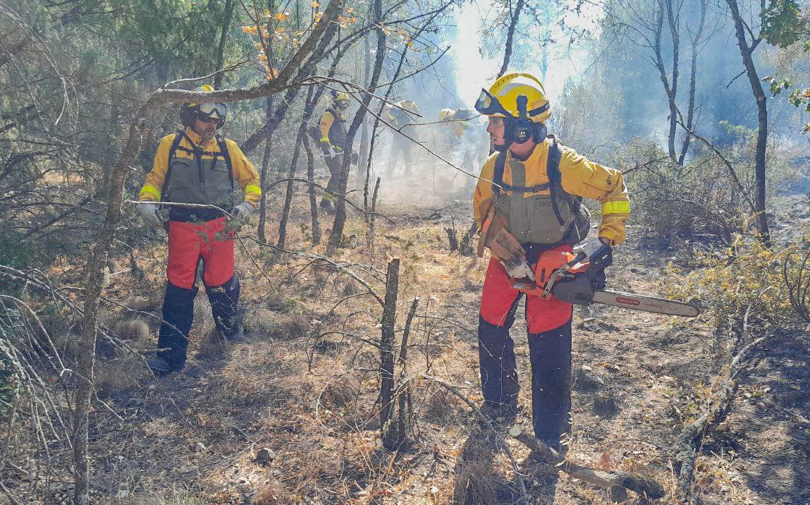 112cmadrid's tweet photo. Previamente al #IFMirafloresDeLaSierra, 15 dotaciones de #BomberosCM y #BrigadasForestalesCM, con 4 recursos aéreos, han colaborado con medios de @naturalezacyl y @mitecogob, en la extinción del #IFSantaMariaDelTietar.
Han trabajado también en el punto los #AgentesForestalesCM. https://t.co/oQOyQwnHLq