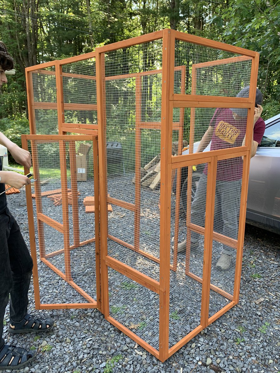 savranly's tweet image. Coming together! #caturday #catio