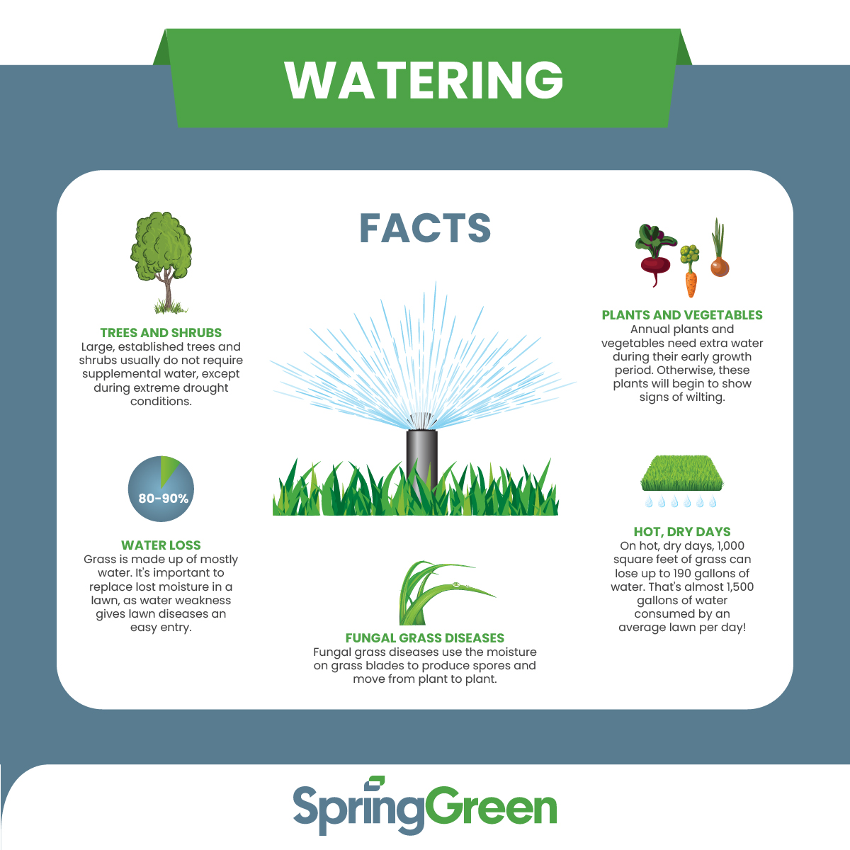 springgreenlawn's tweet photo. "Soak up" these facts & best practices for watering your lawn! 💚💦 #SpringGreen #WateringTips https://t.co/5scbd6syQC
