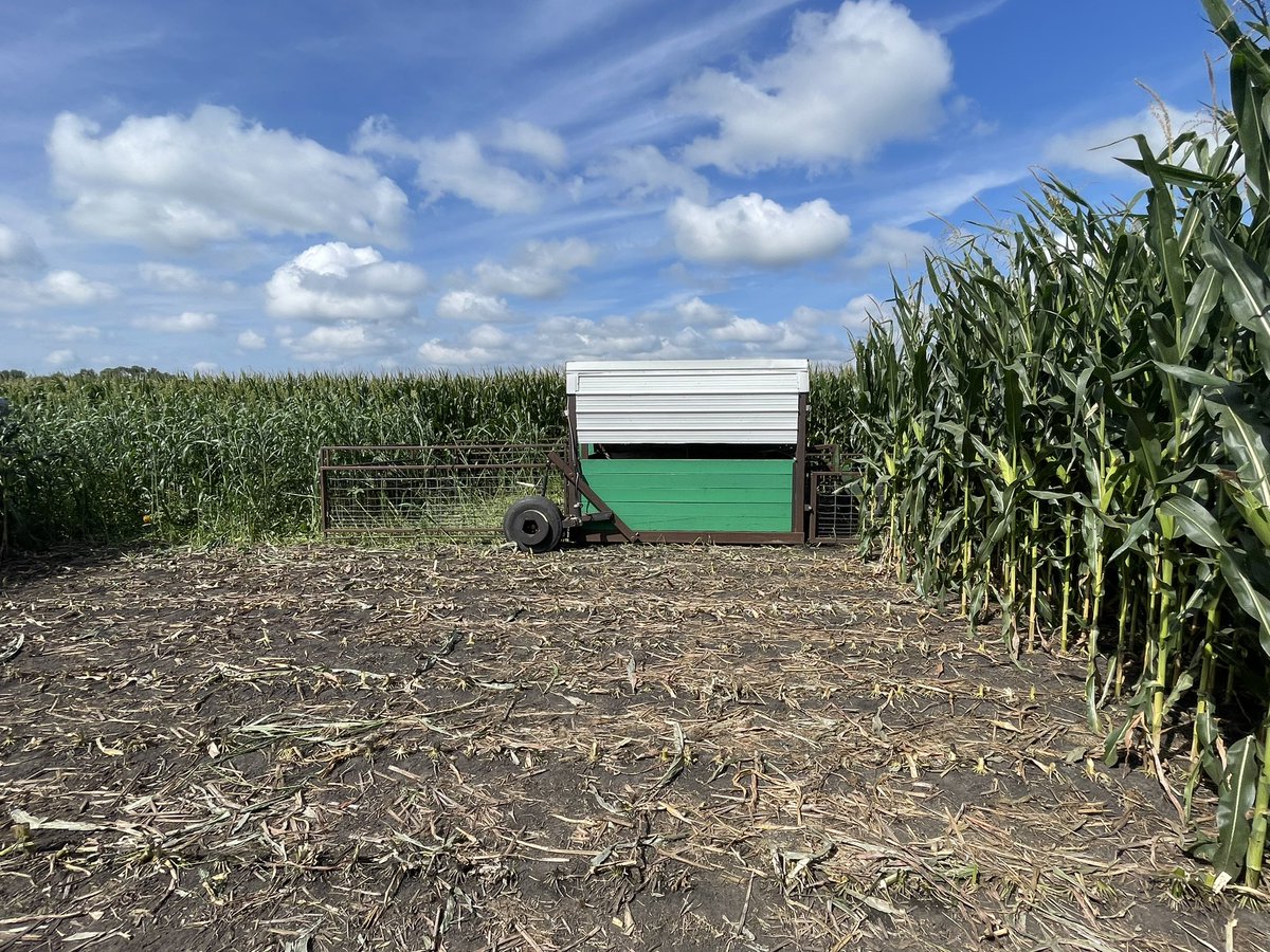 matteichacker73's tweet photo. Was a great day checking out the #stockcropper #farmweird field day. Well worth the drive! Thanks @zebulousprime for putting this on. Great to hear the ideas shared and talked about by @jasonmauck1 @VanceCrowe @RickBieber81 https://t.co/hO8dwXd0a2
