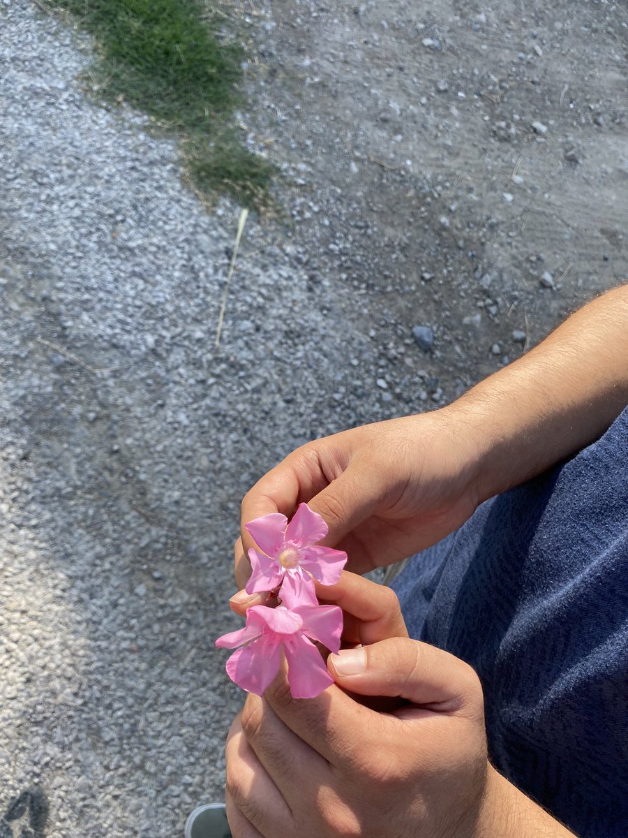 BeyzaBicer11's tweet photo. 💕🍭💐🌺🫶🏻💗 https://t.co/fZEHlsGISS