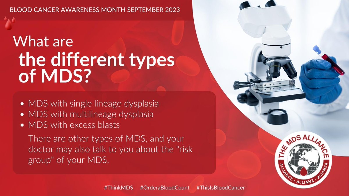 MDSAlliance's tweet photo. 🩸 Depending on which blood cell type is affected in what way, MDS can be categorized into 6 types: MDS with single lineage dysplasia, MDS with multilineage dysplasia, MDS with ring sideroblasts, MDS with excess blasts, MDS with Isolated del (5q) &amp; MDS unclassifiable  #ThinkMDS https://t.co/CmlrJfvdGl